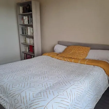 Bel Au Coeur D'albi Apartment *