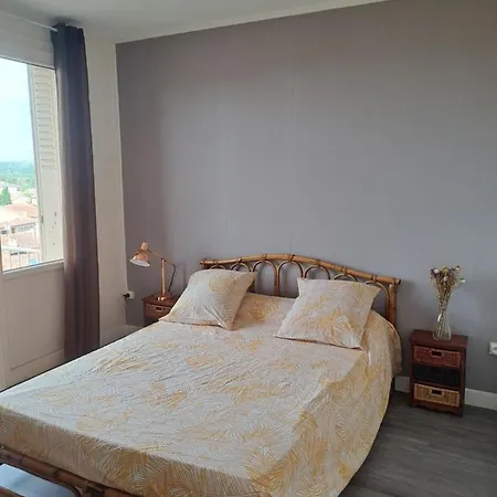 Apartment Bel Au Coeur D'albi